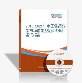 2016-2021年中國焦磷酸鉛市場前景及投資機(jī)會研究