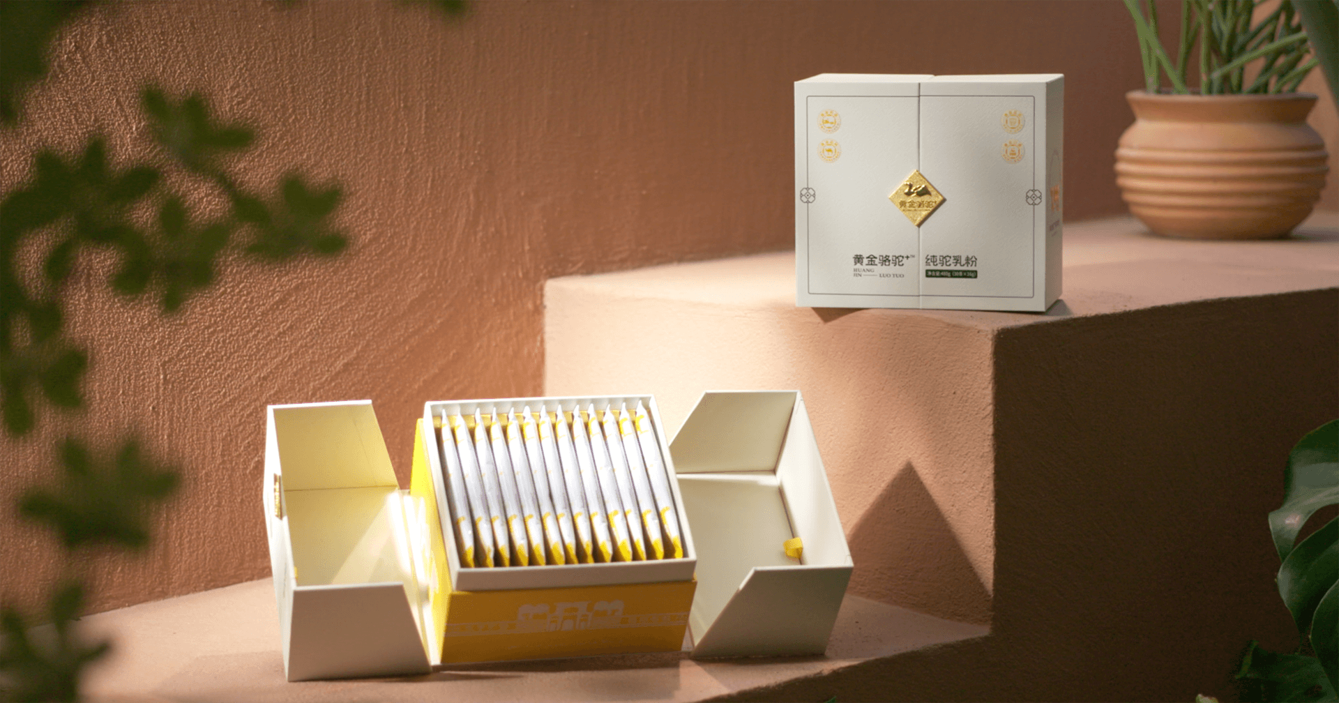 定位小眾高端乳粉，ok138cn太陽集團古天樂推出駝奶品牌“黃金駱駝+”，角逐乳品新市場！